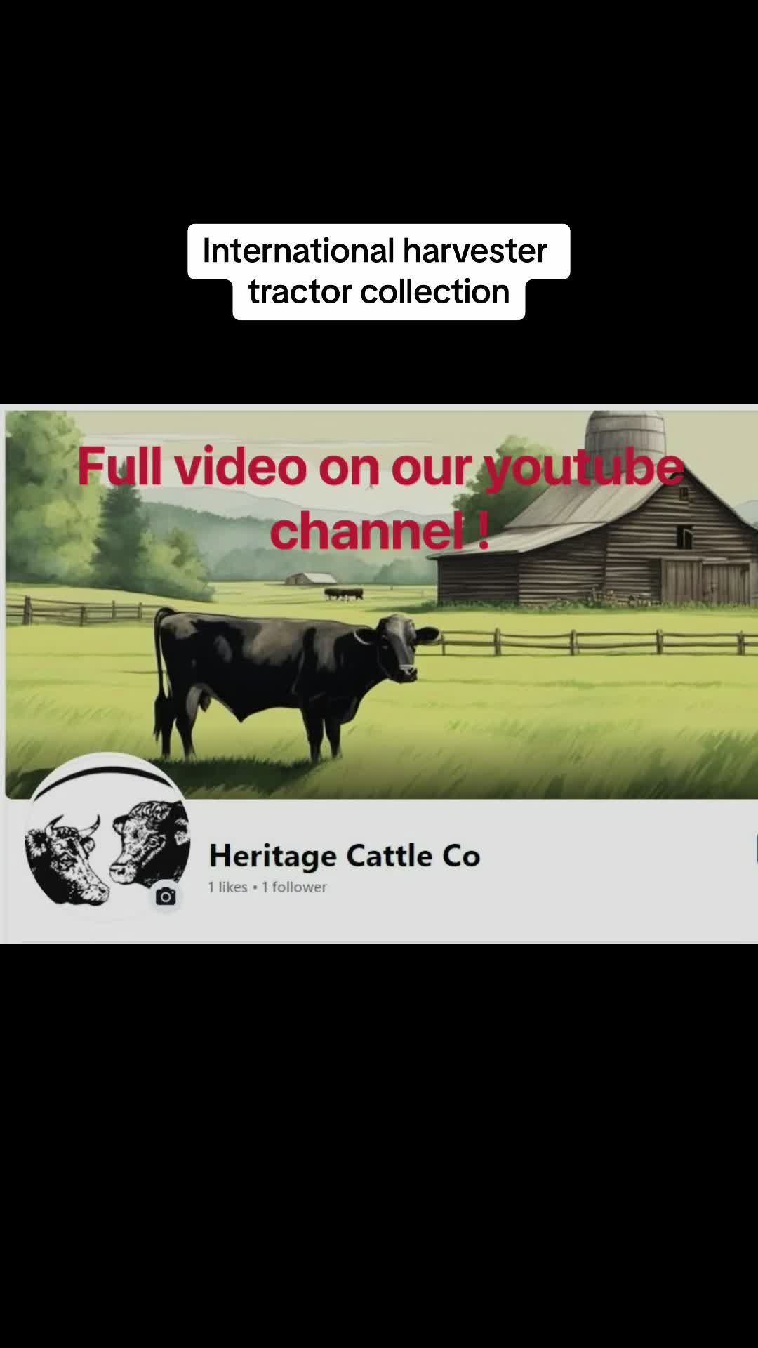 @Heritage Cattle Co