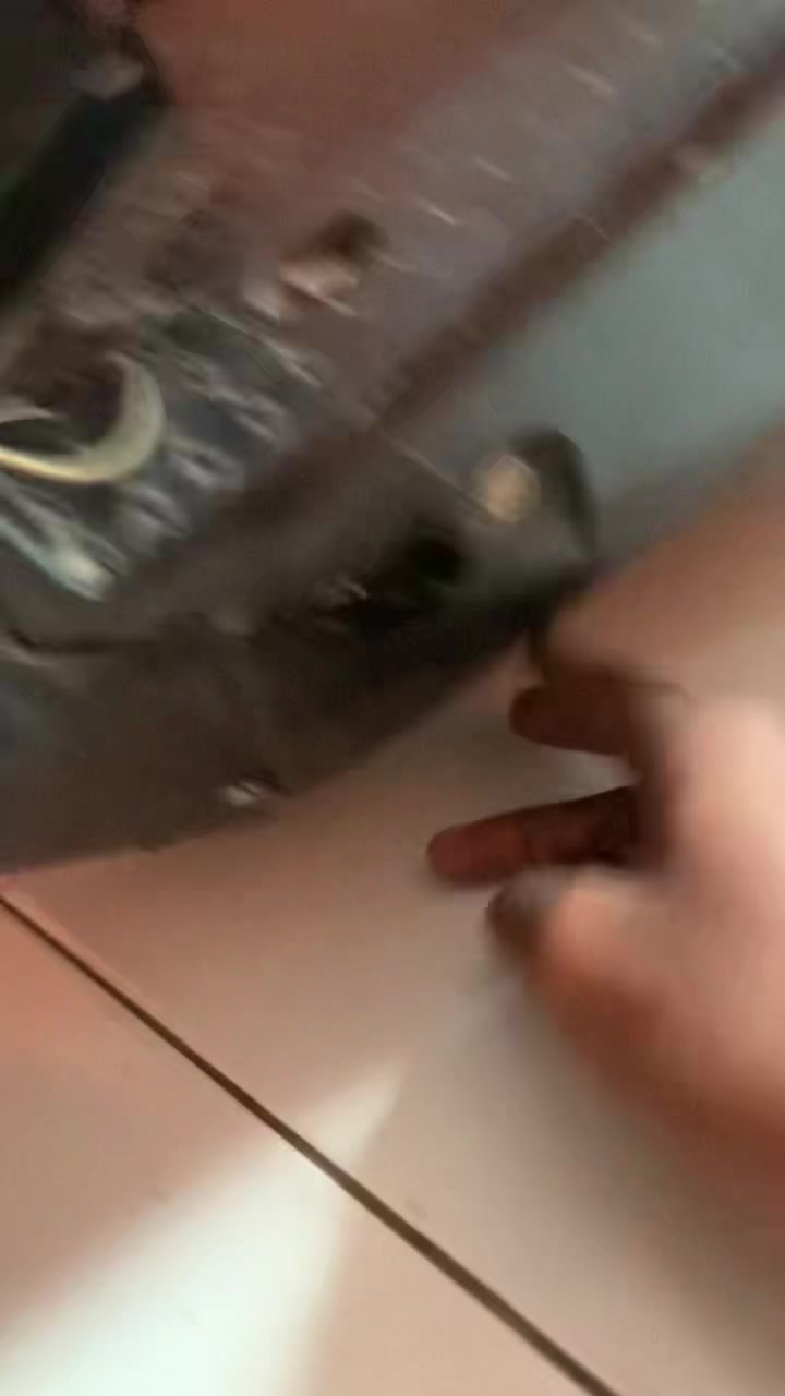 @rfzyshywhy