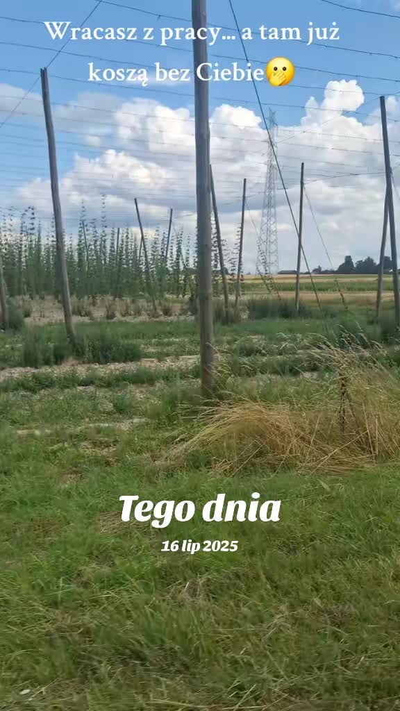 @mamanawsi-lolkafoto