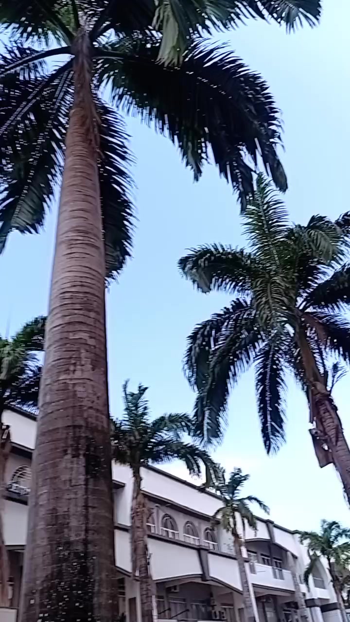 @mdnozu665