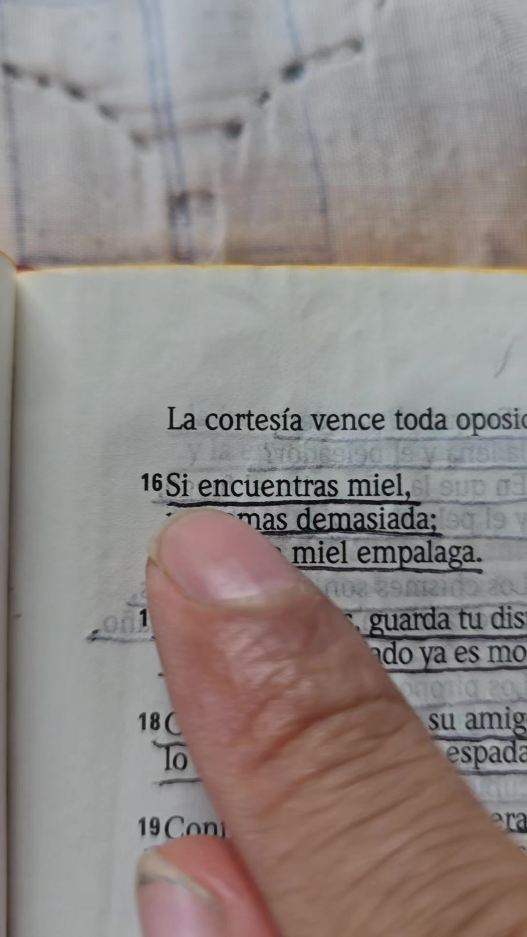@Palabra de Dios