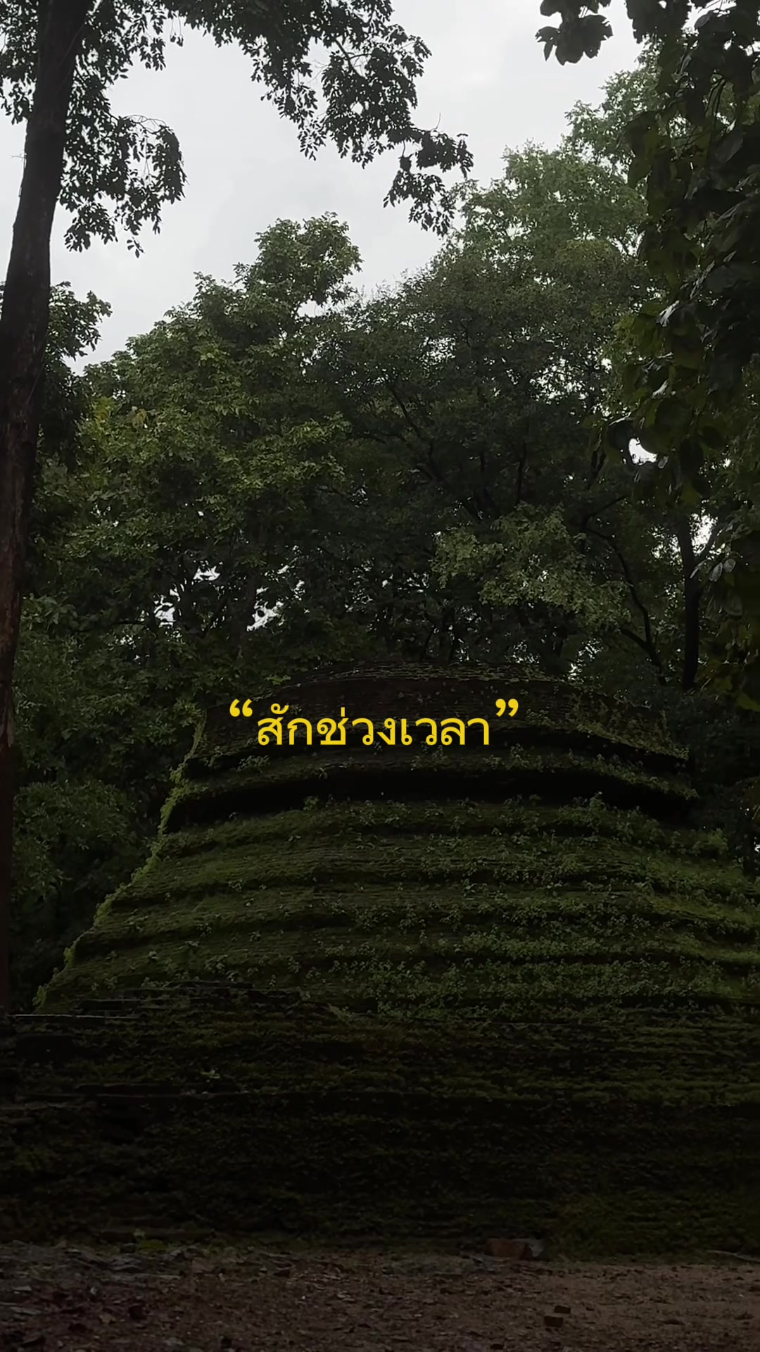 @Phoom_pakkadum