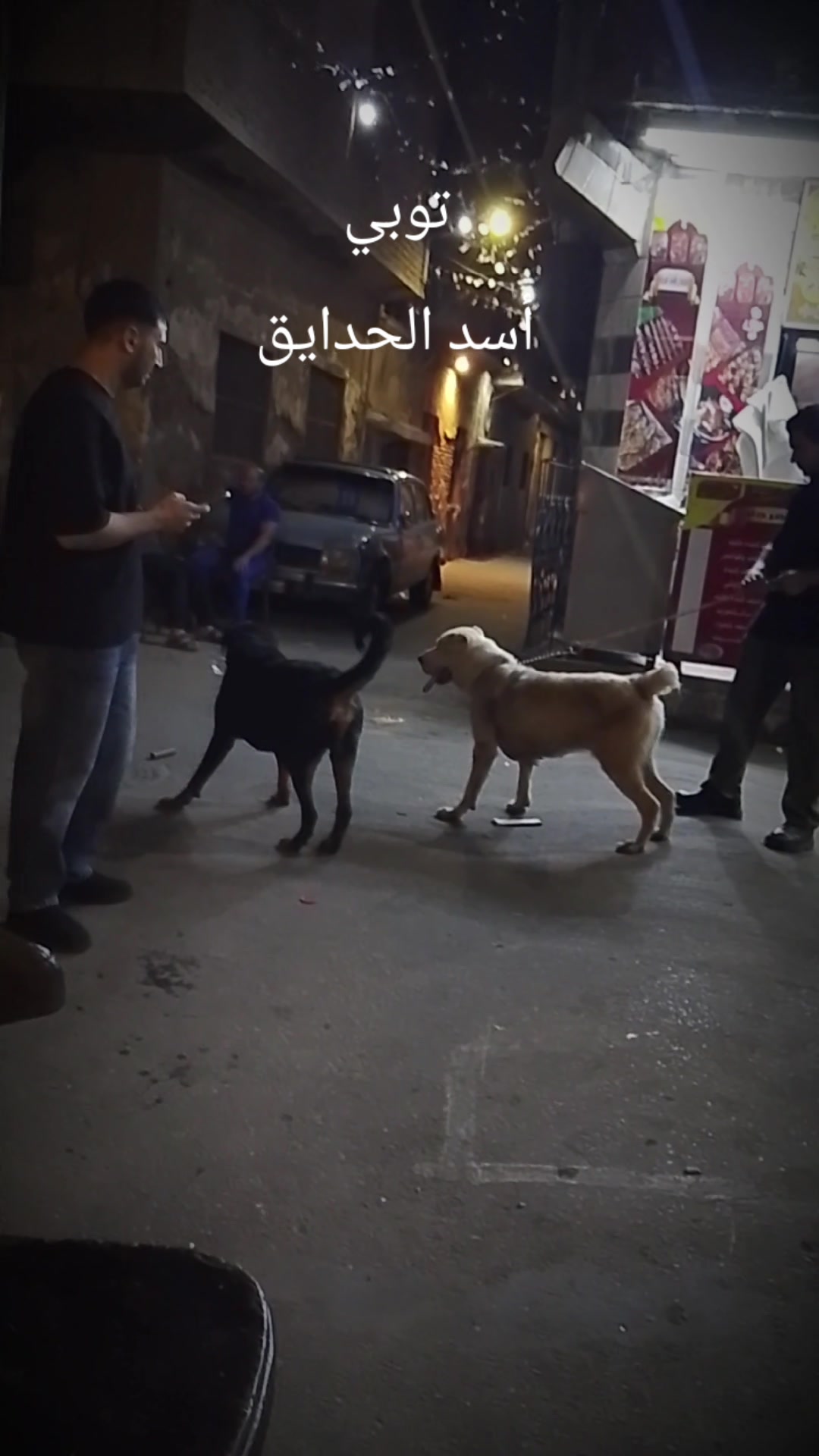 @APO QAMR...ابوقمر