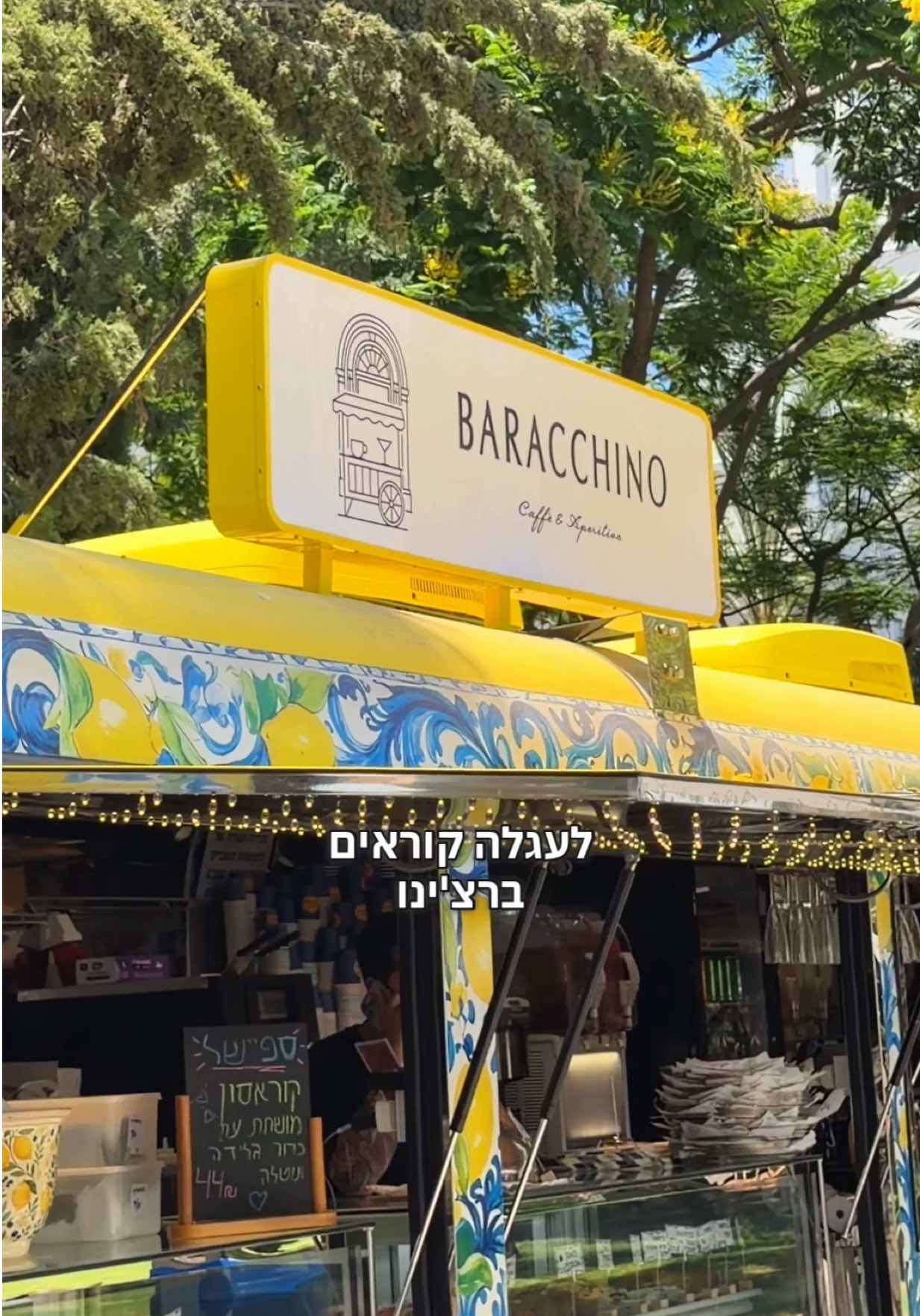 @Roy Bartal