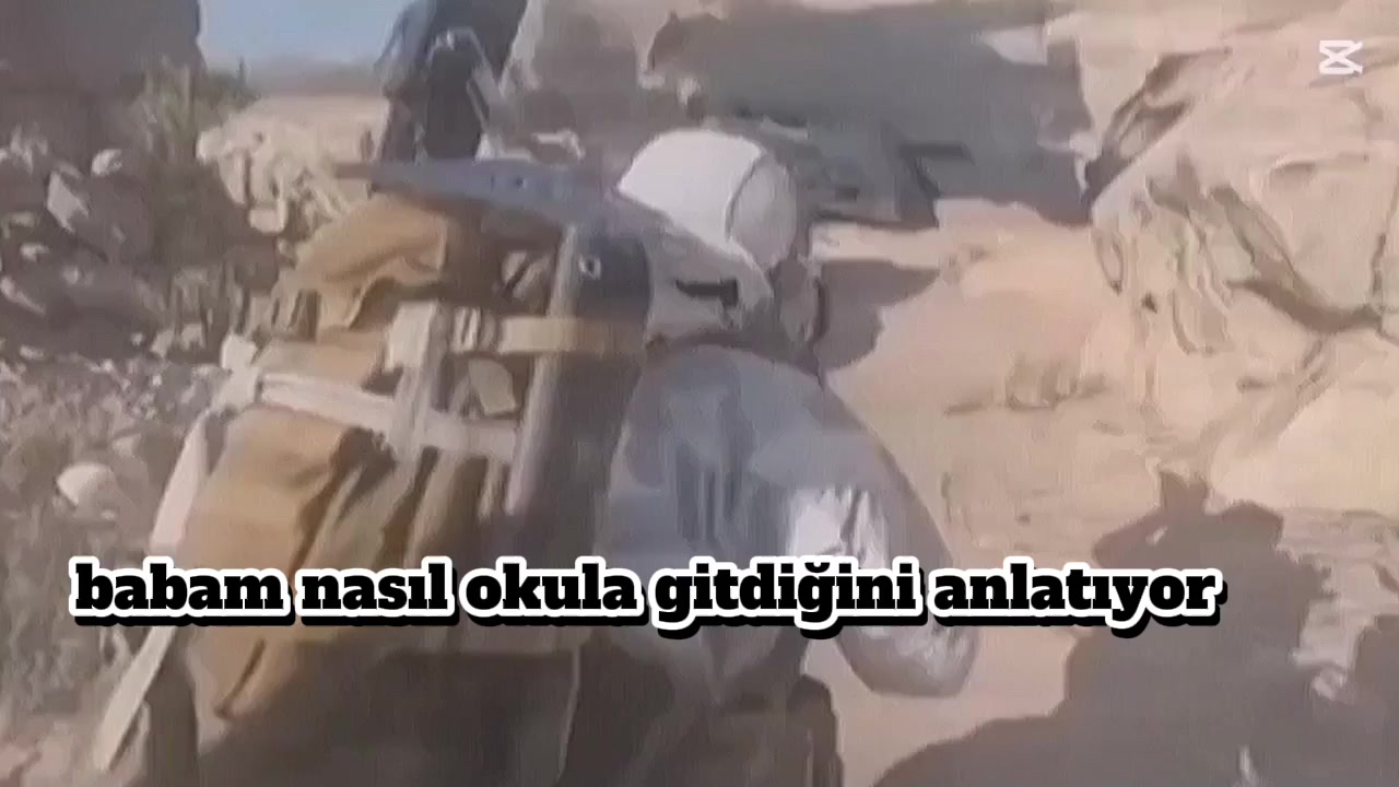 @Fedoh(ai)