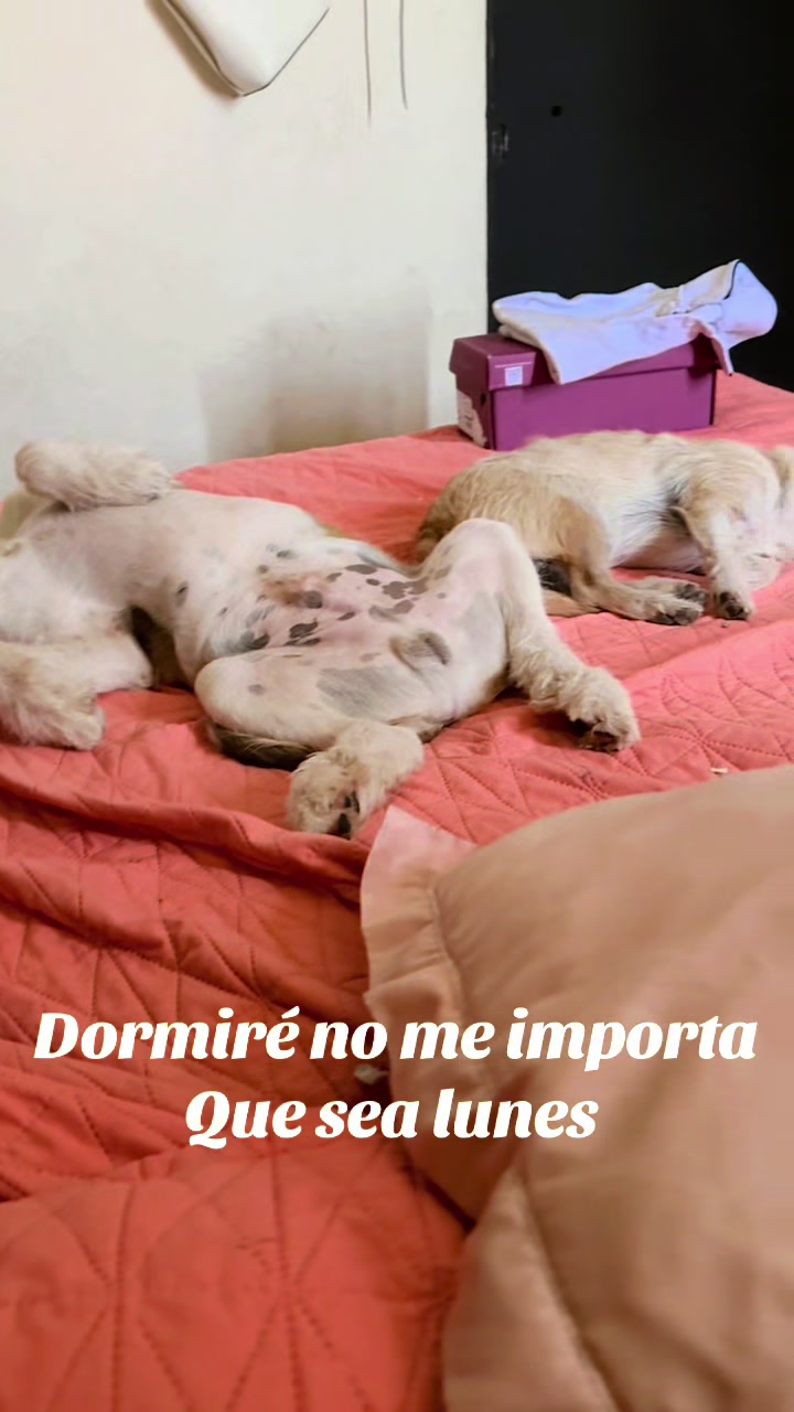 @MarianaArguijo