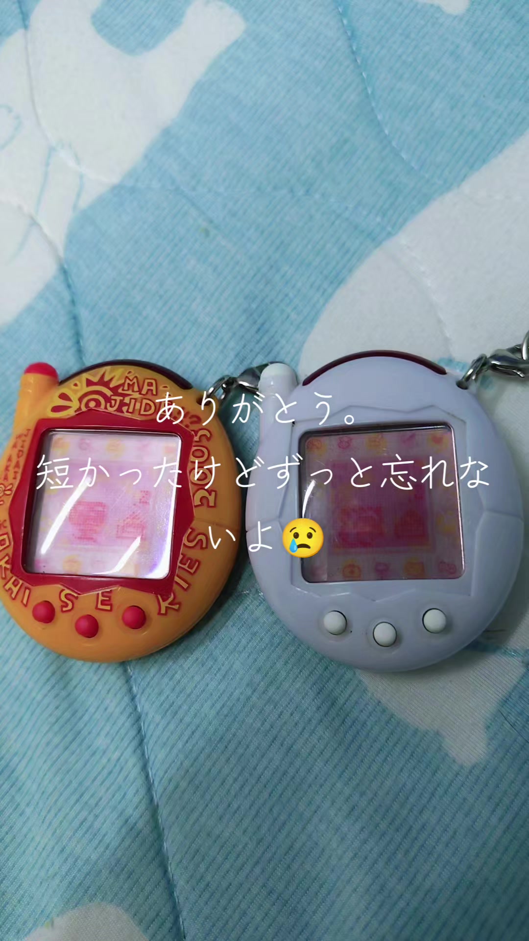@スギマユ