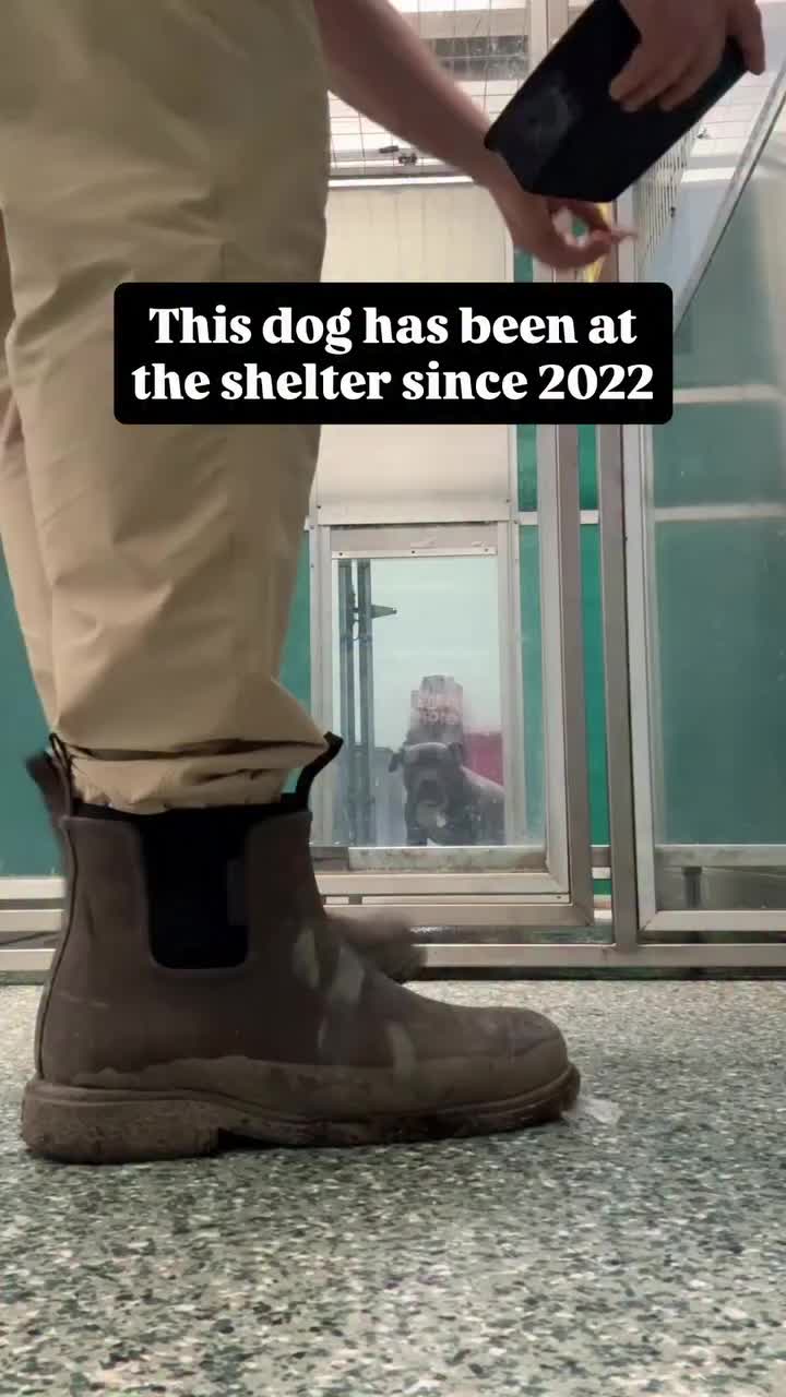 @mistermnn