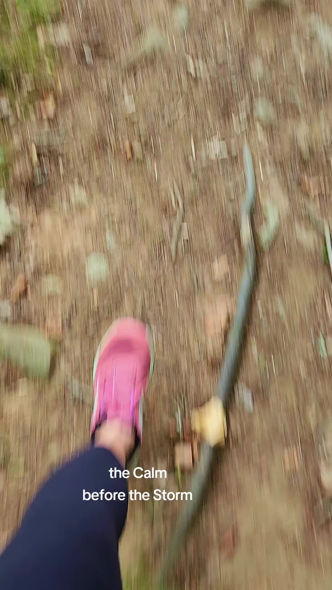 @MagsJ