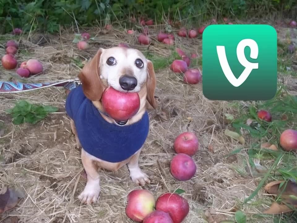 @varioustries