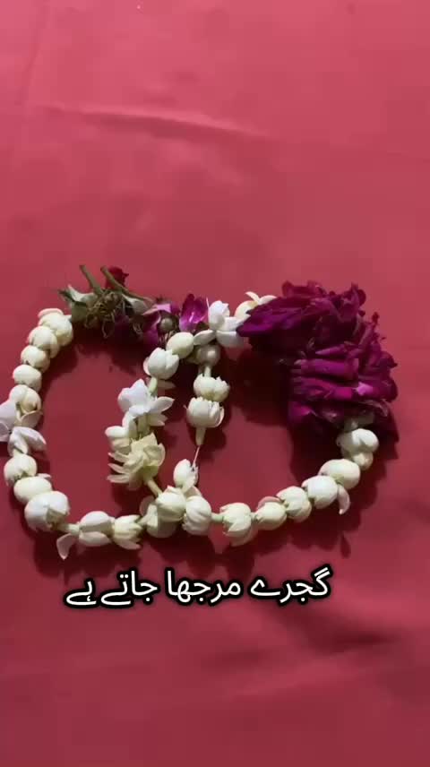 @snapvibes