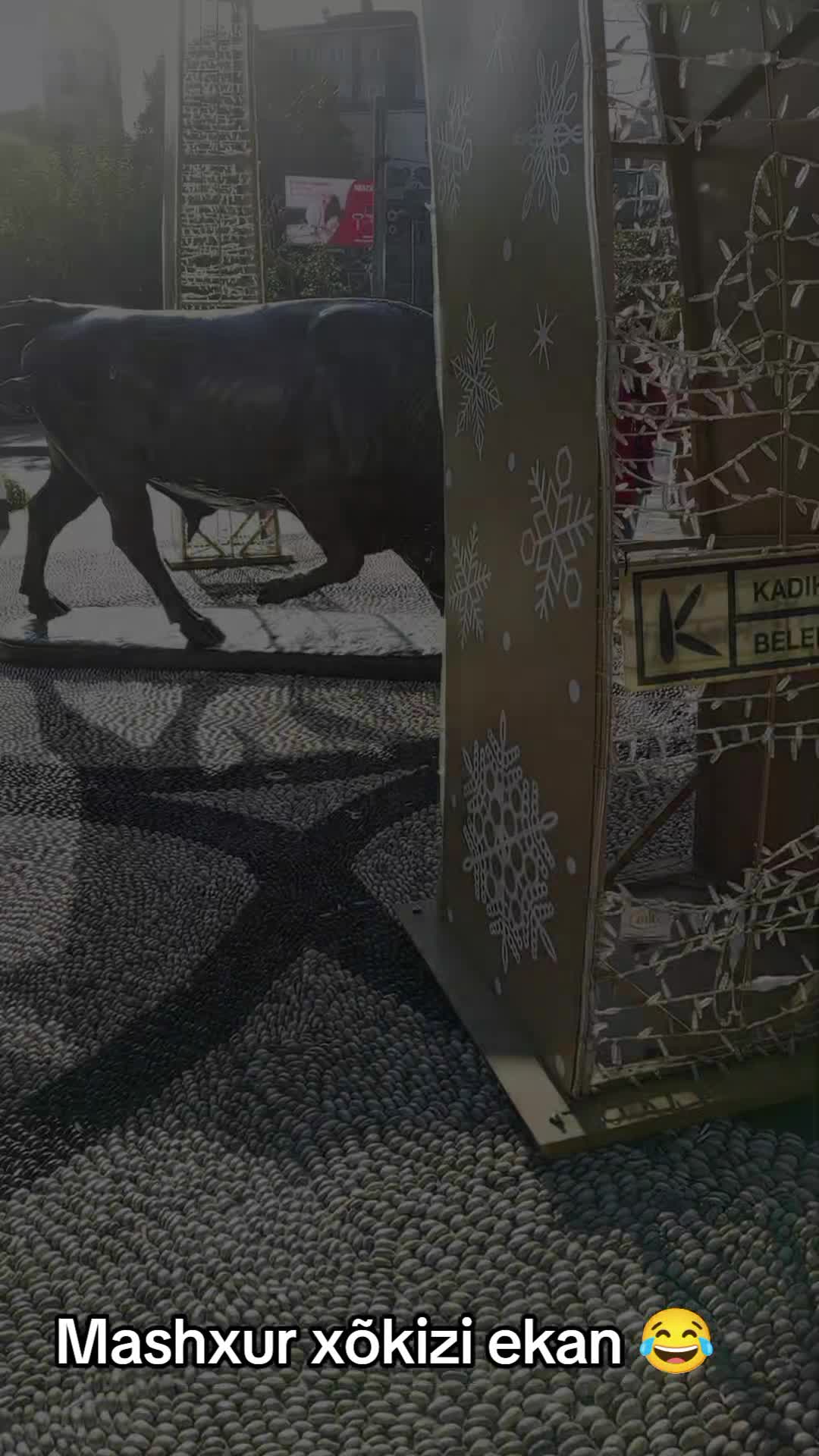@🍫🇹🇷 PARI 🖤 🇹🇷🇹🇷
