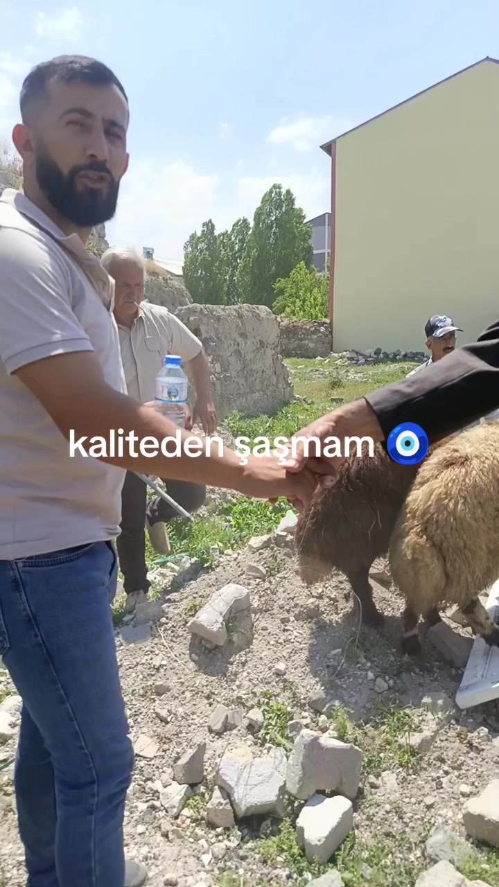 @NEVROZ KARATAY