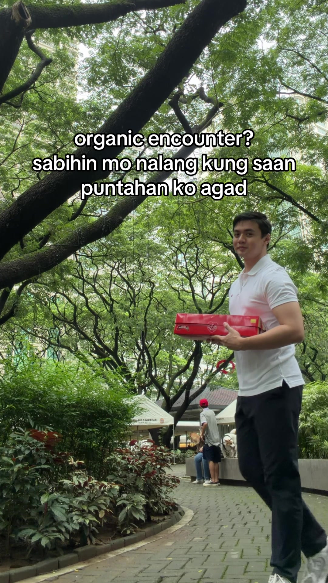 @rafaelcaramancion on ig