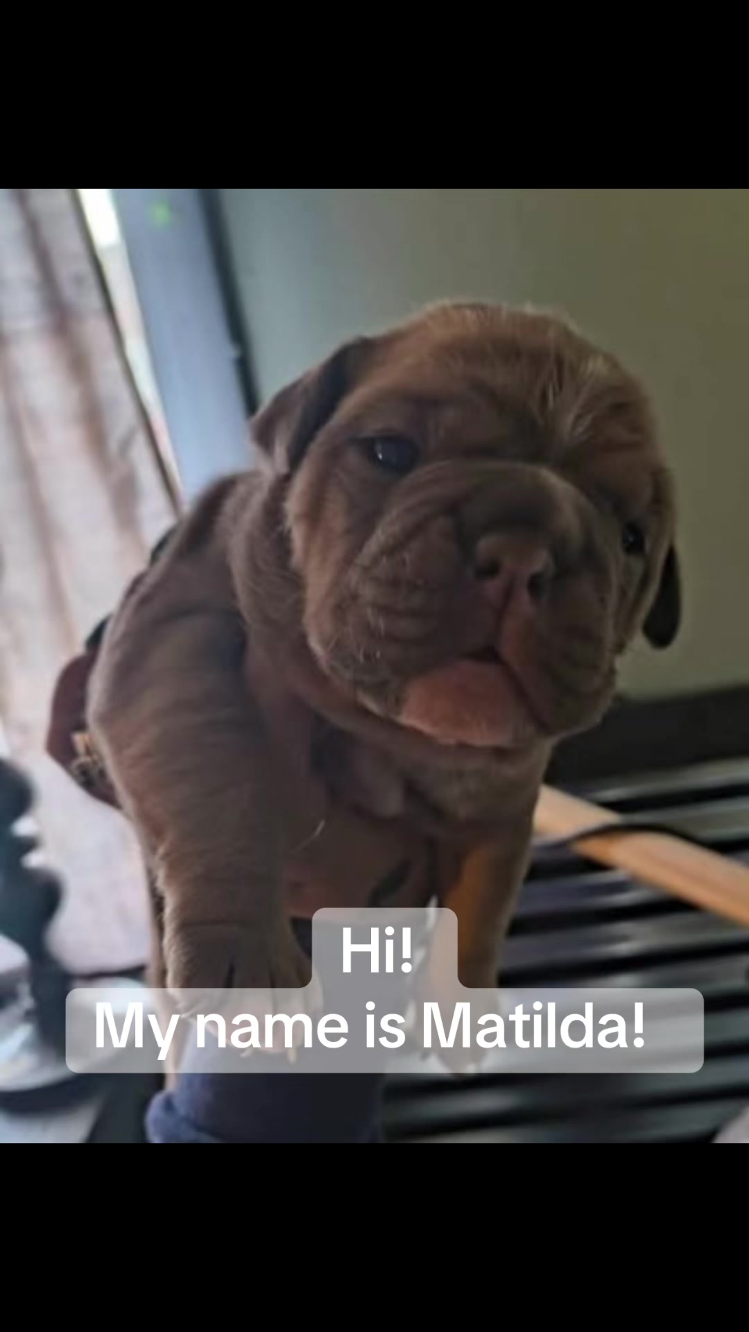 @Matilda the Menace