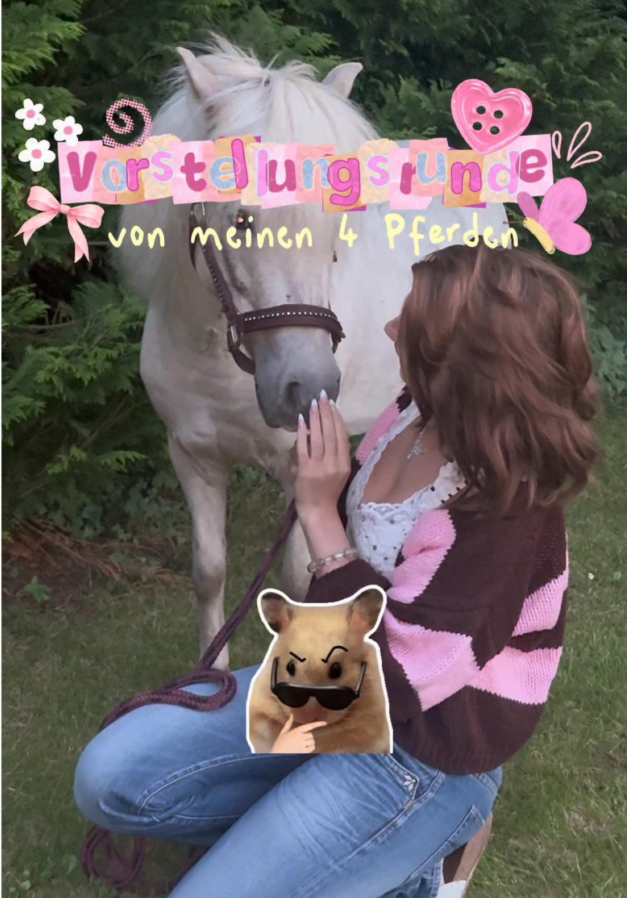 @Pferde Paradies