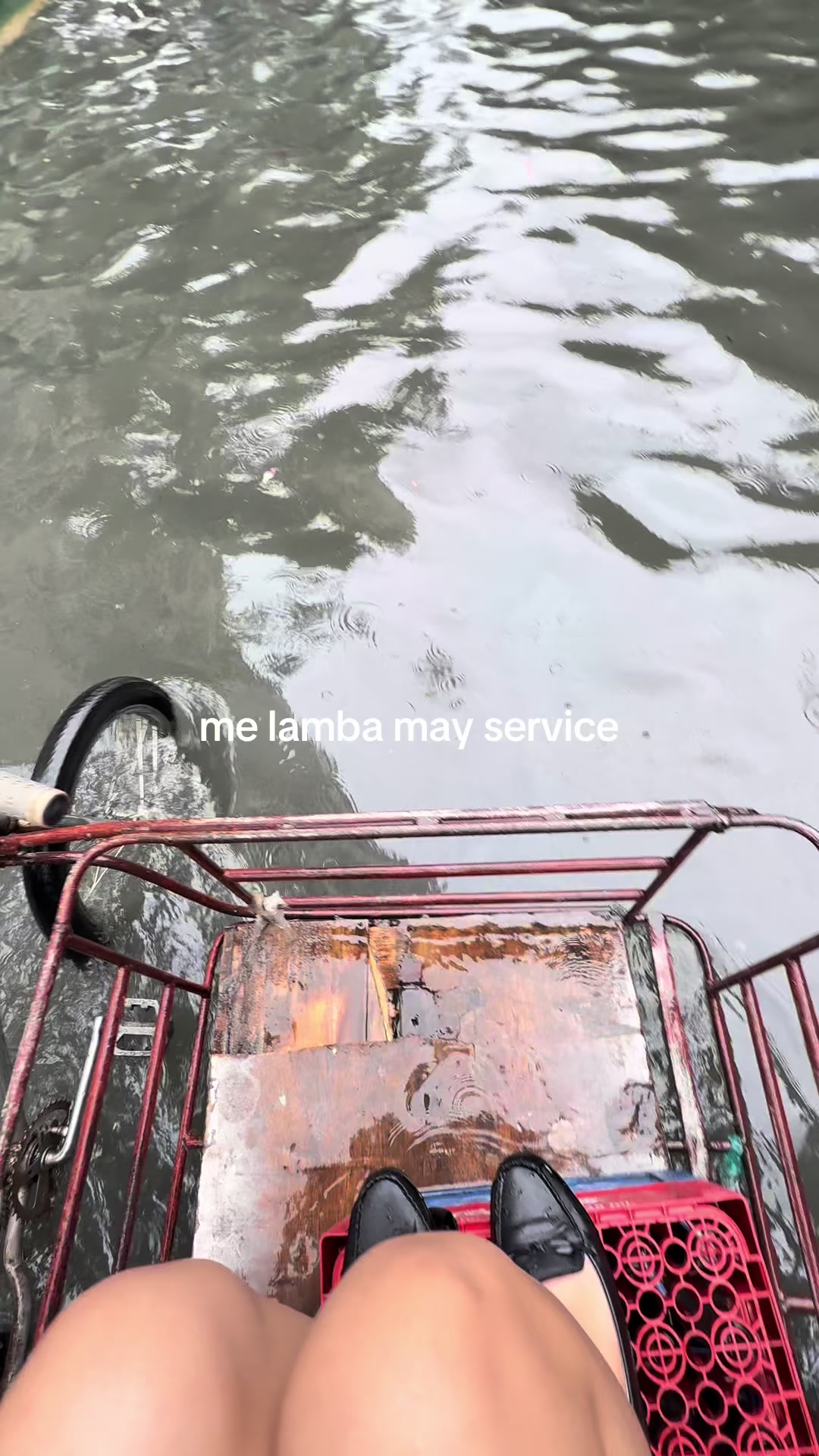@polamarii