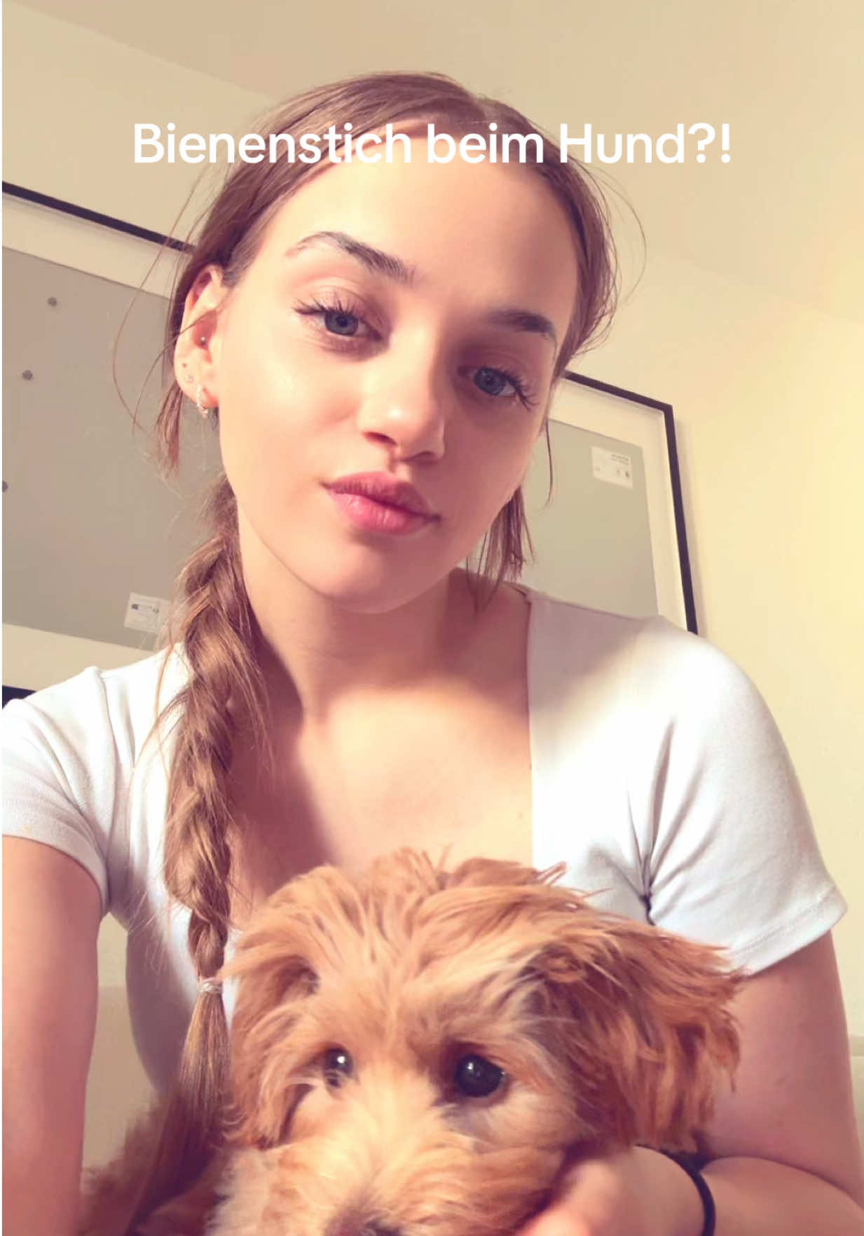 @chiarasvibez