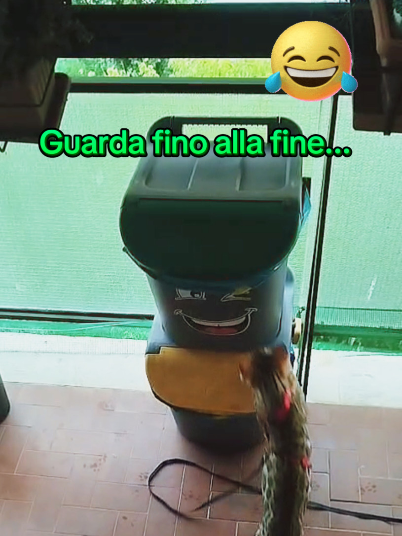 @Rio.supercat