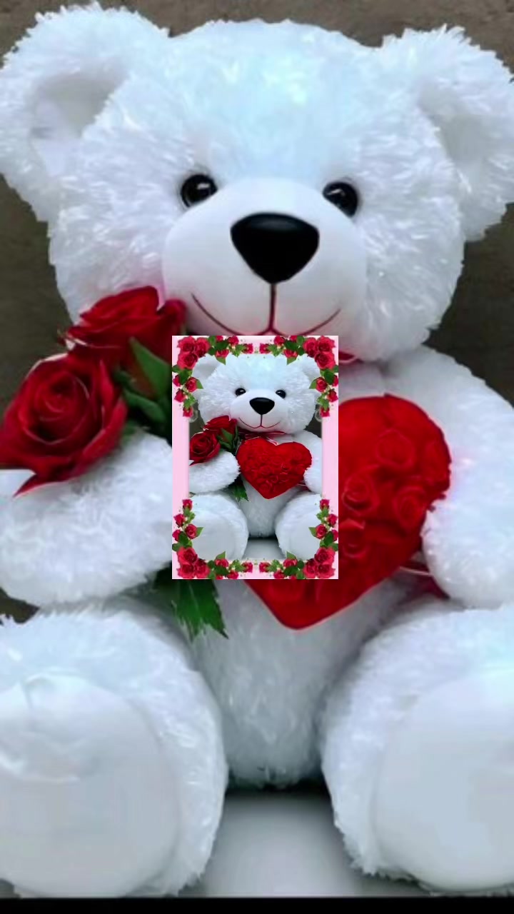 @user51175485367