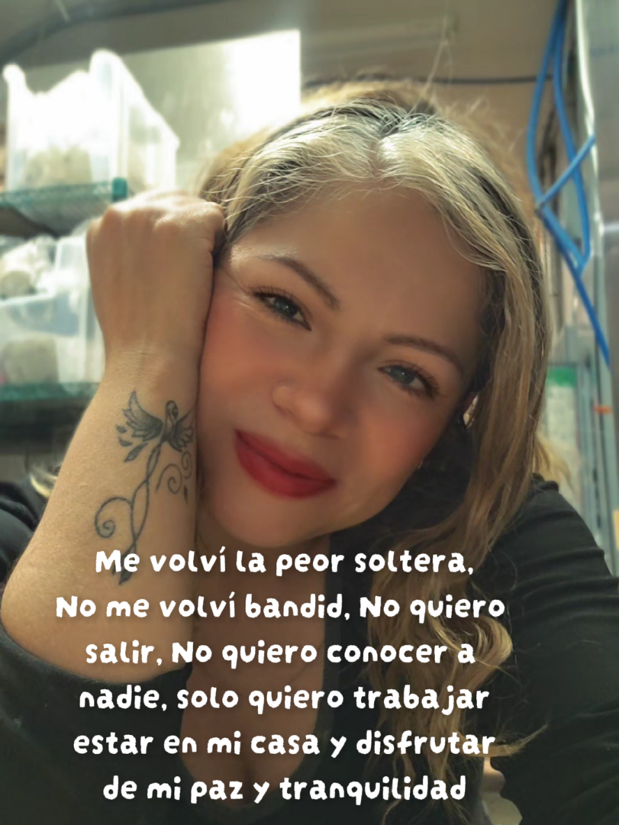 @silvis silvis