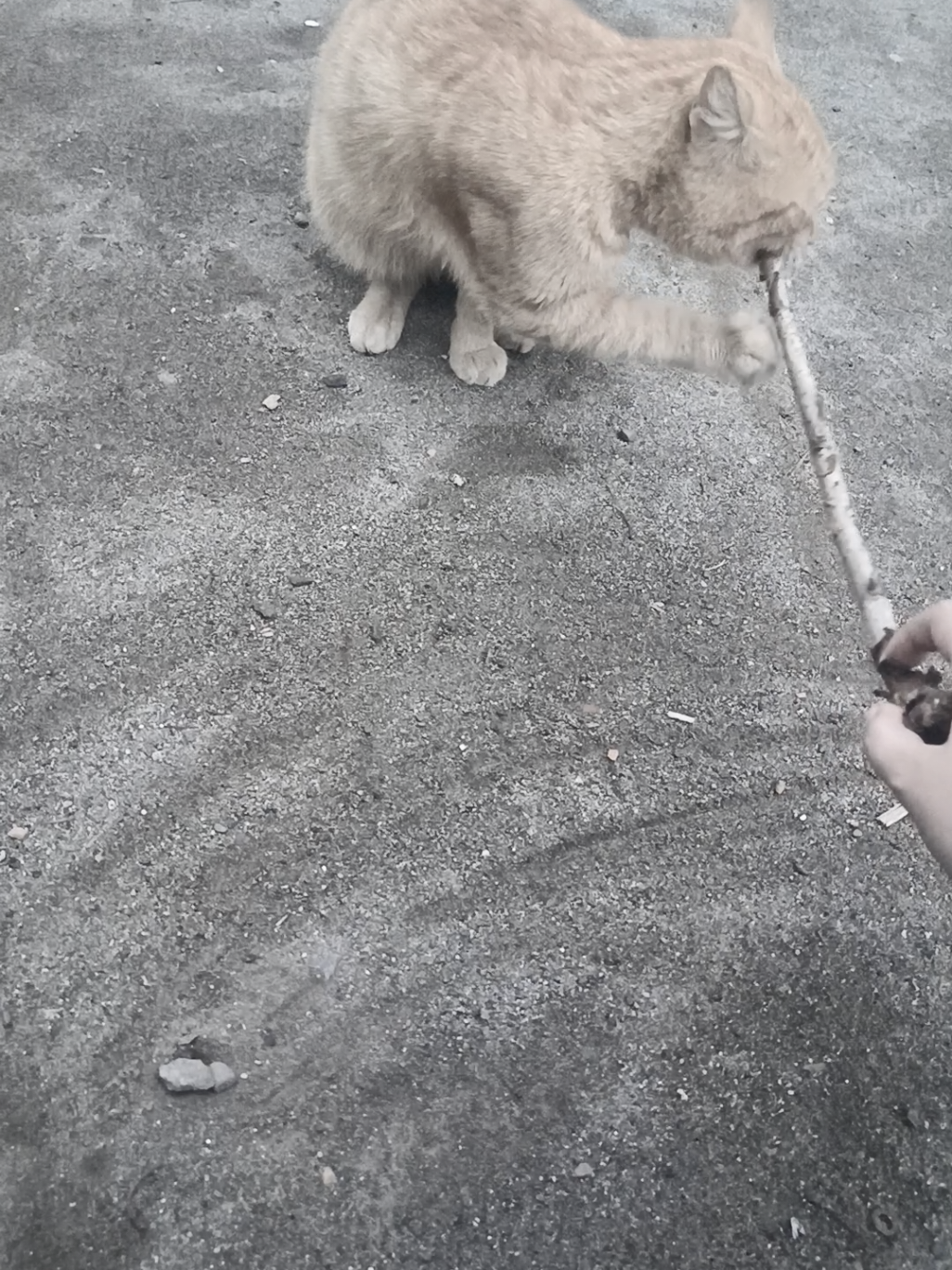@𝑡𝑠𝑠𝑦𝑟𝑟𝑟𝑟𝑎