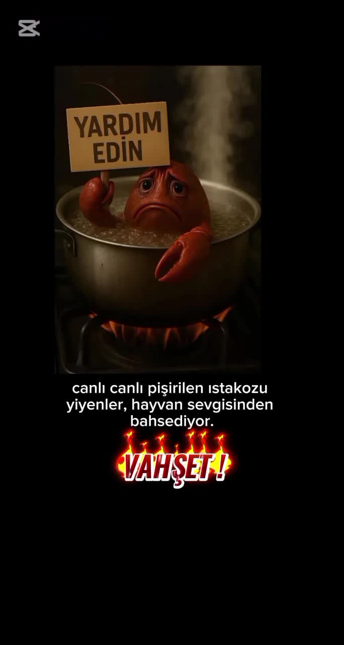 @🍂MUVAHHİDE🍂