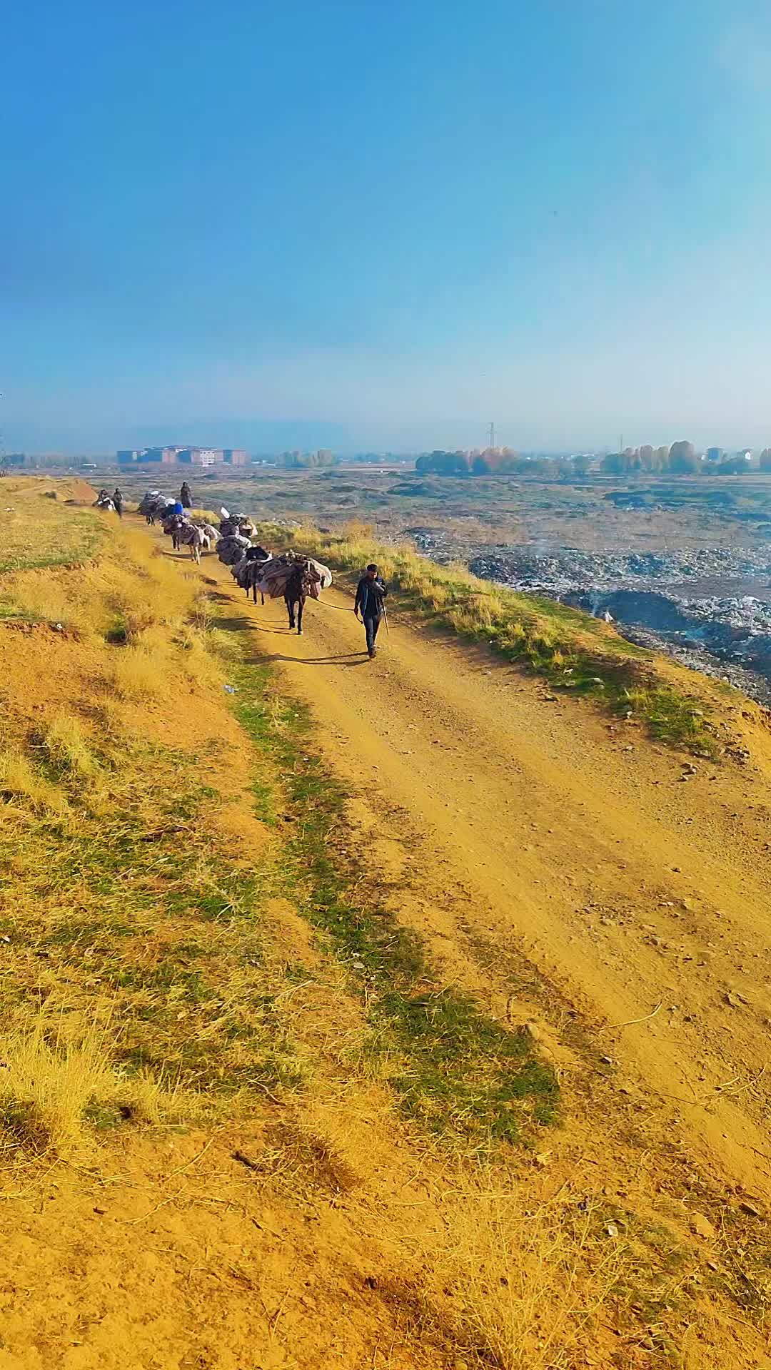 @Fırat47.73