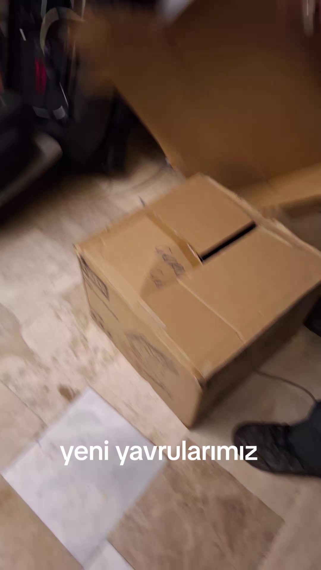 @g&uuml;lo g&uuml;l kız