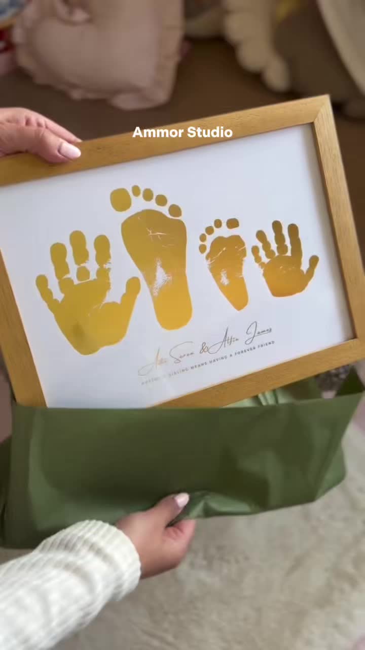@ammorstudio
