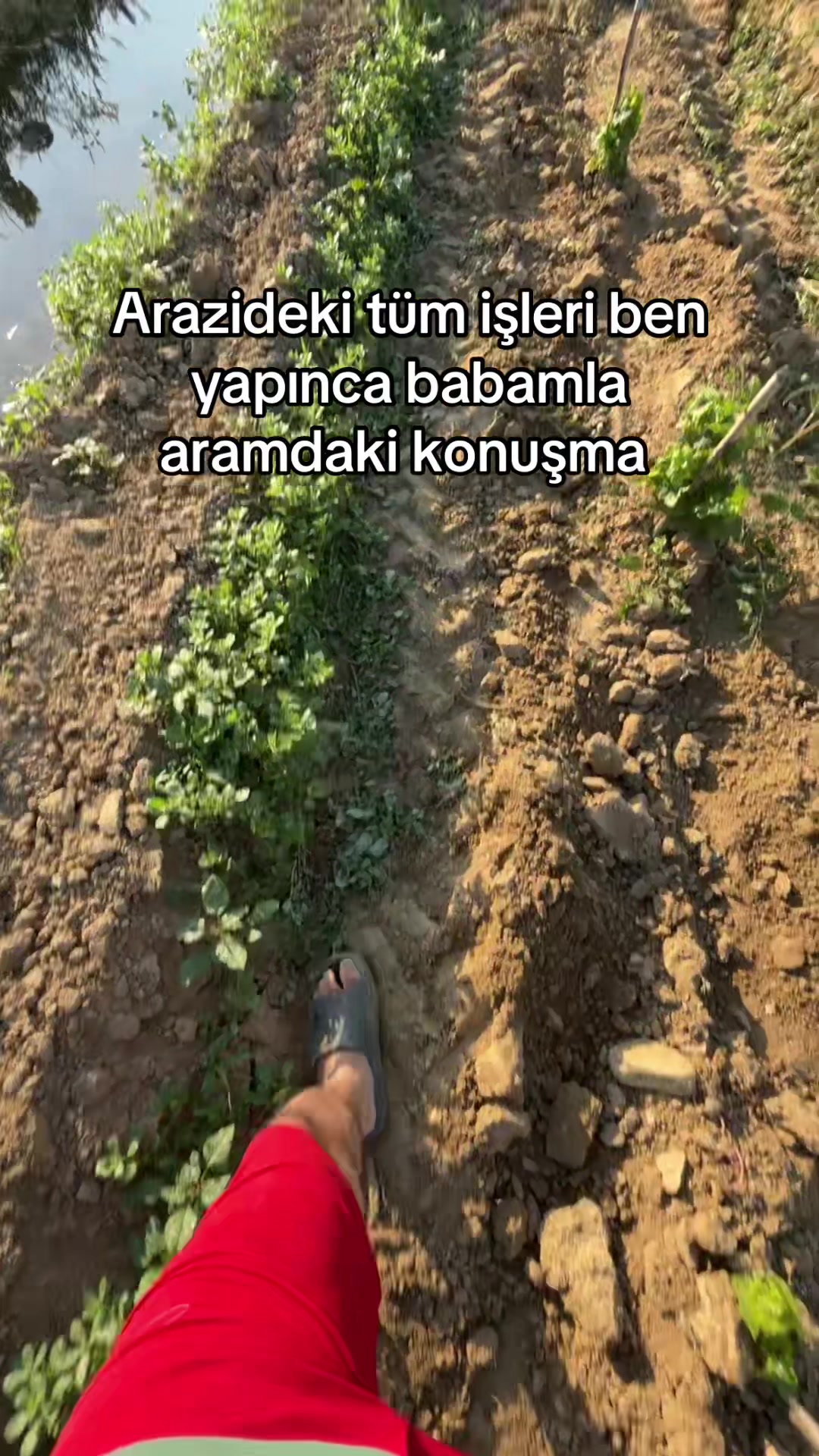 @𝒞𝑒𝓂𝒾𝓁 𝒜𝓀𝓉𝒶ş