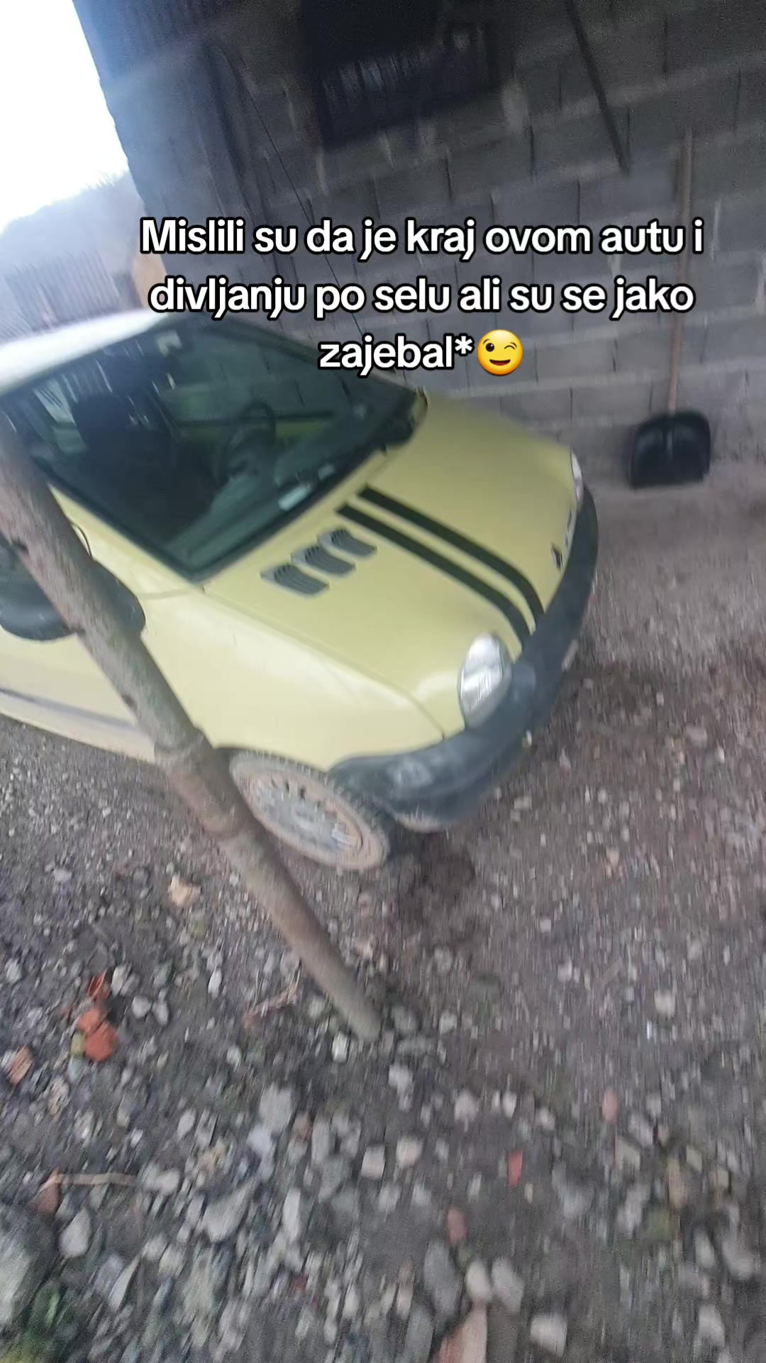 @Žuta Tica💛