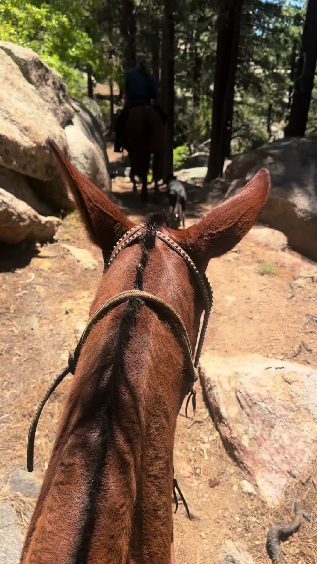 @Classic Cowgirl