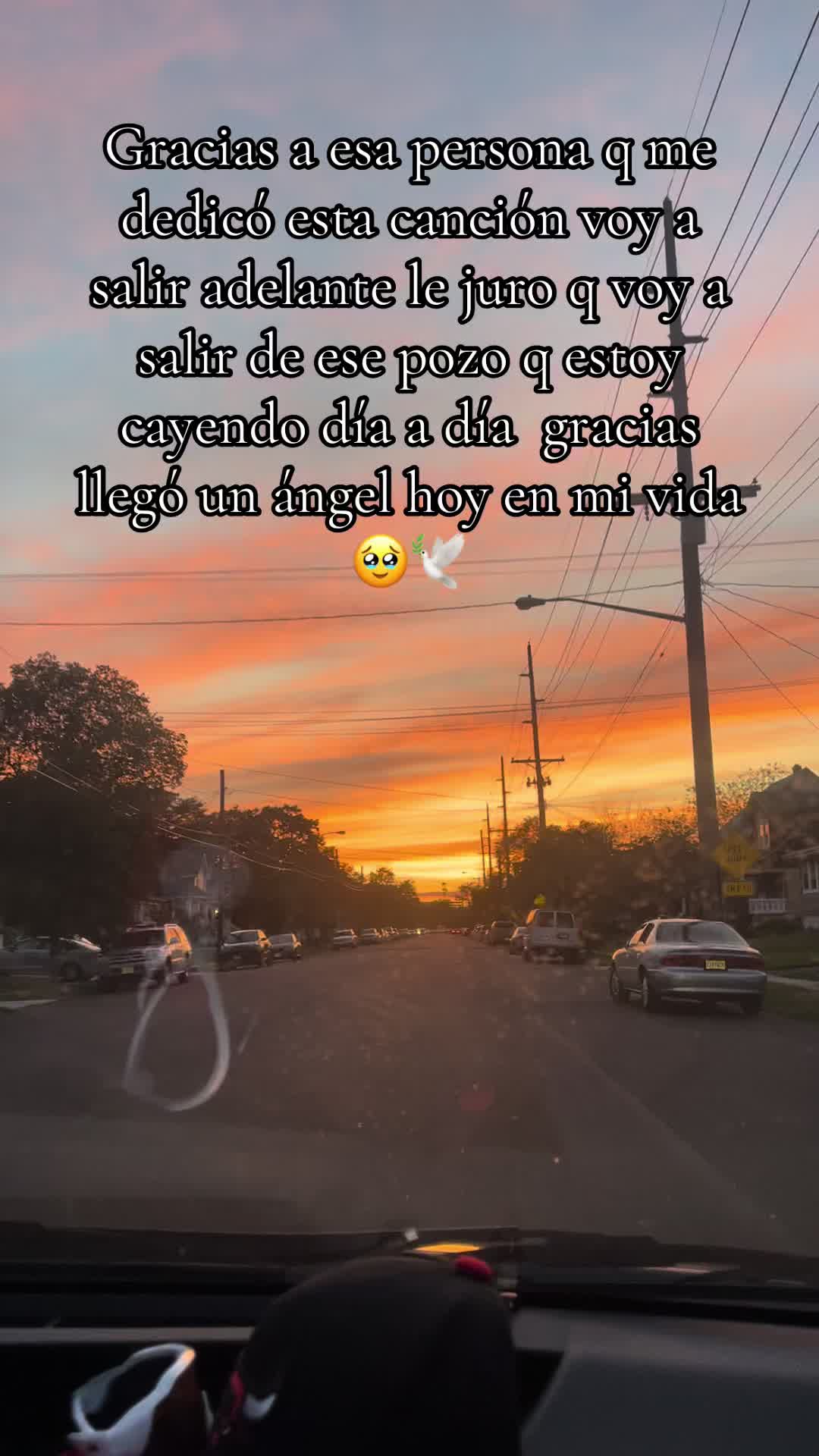 @Gabriela Chimbo