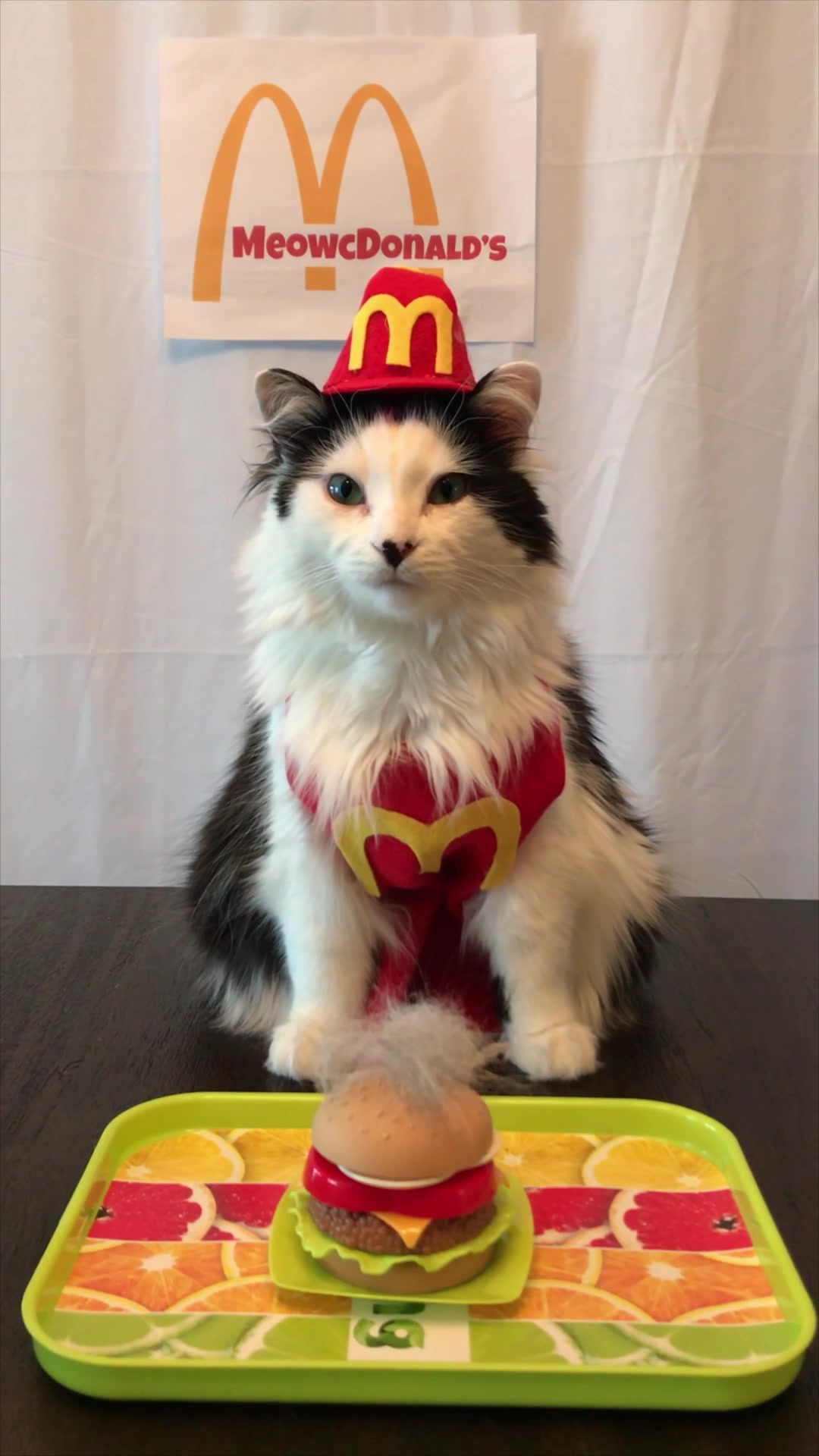 @The Oreo Cat