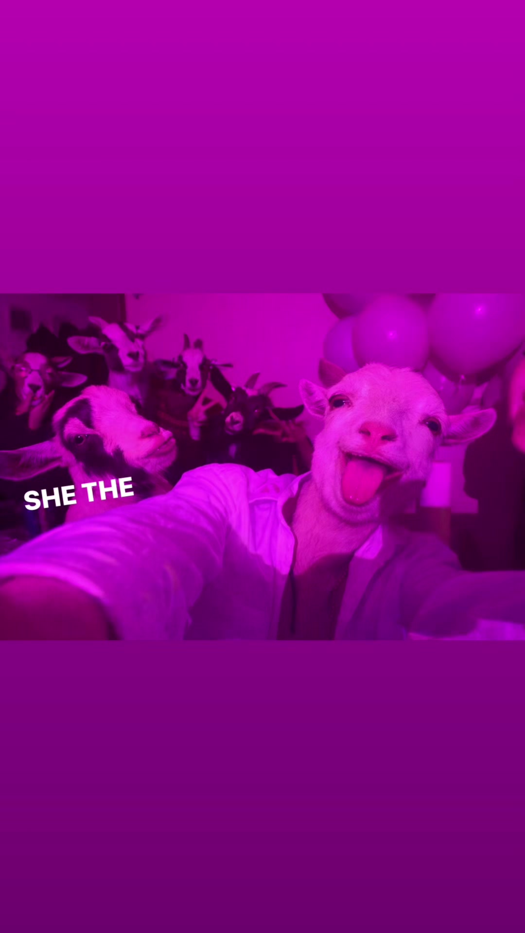 @jjbcappin_