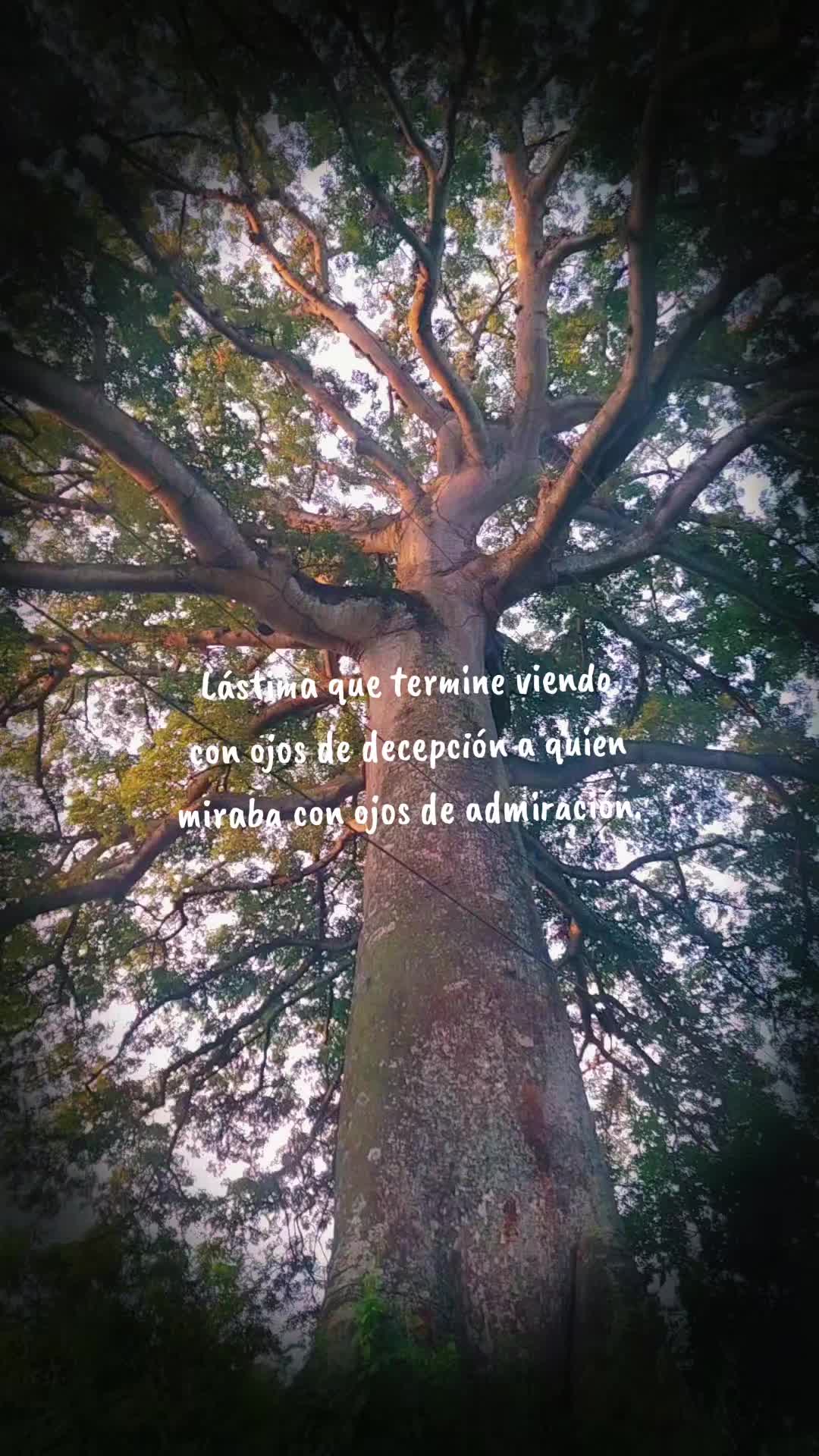 @๐ ๐ Bella ๐ ๐