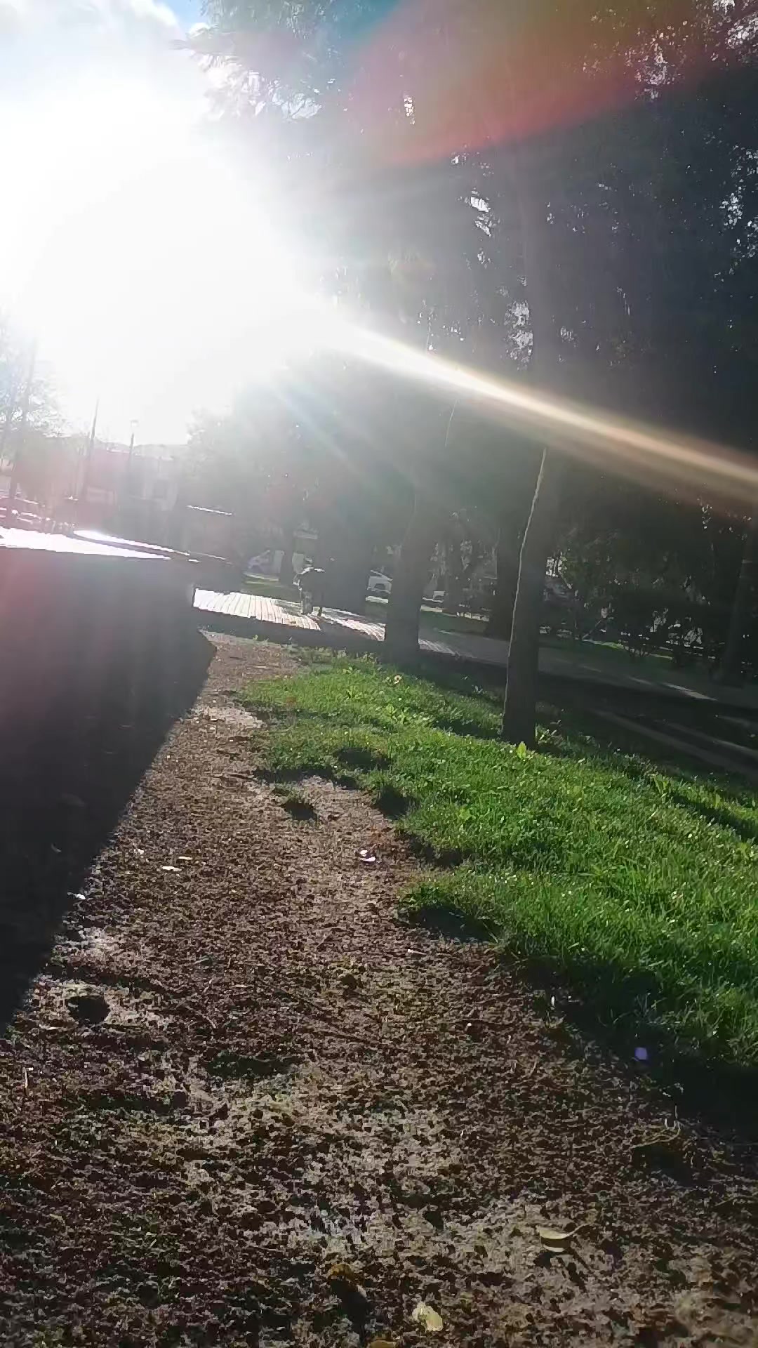 @Daniel sivira
