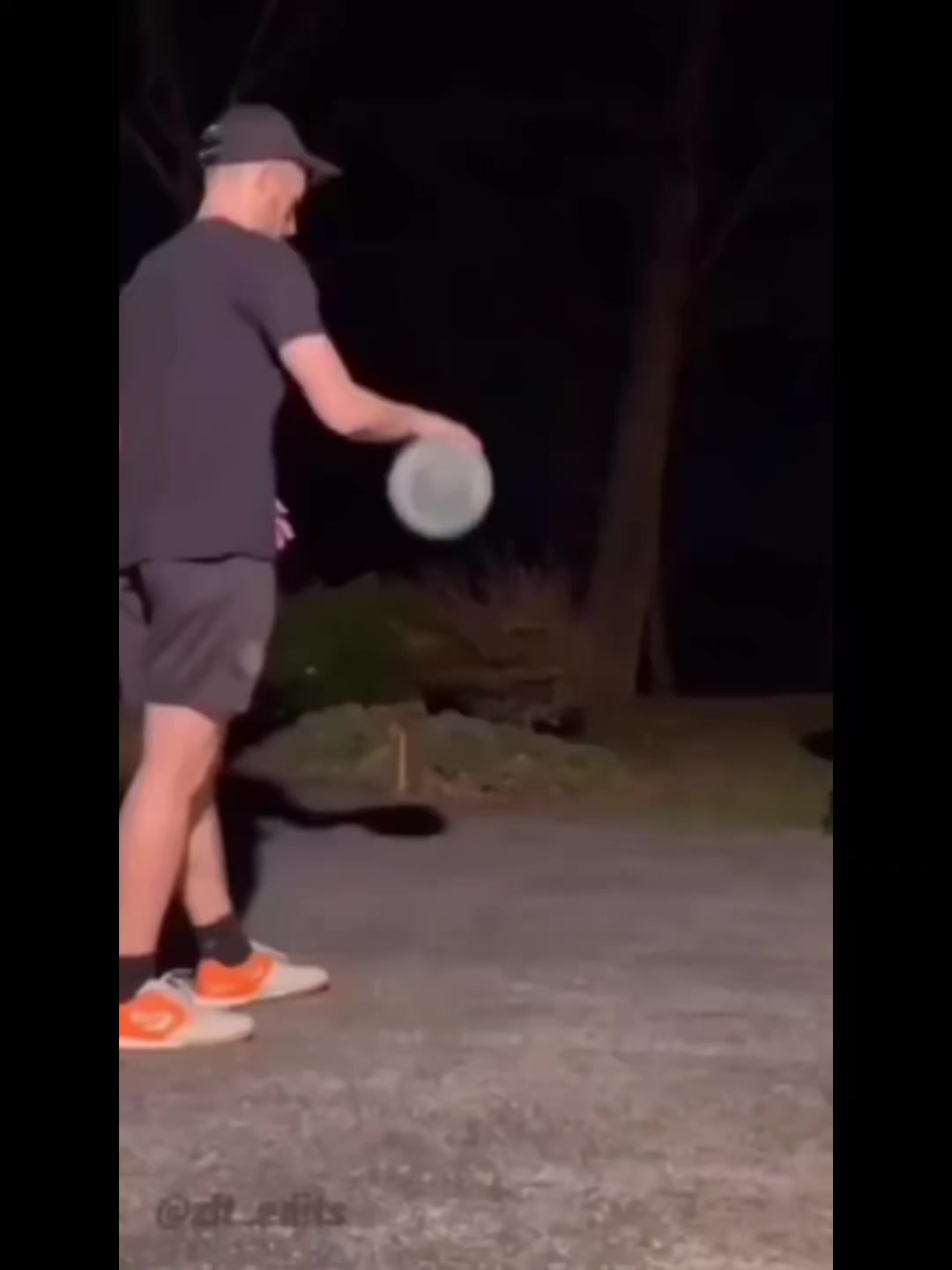 @TikTok Finds
