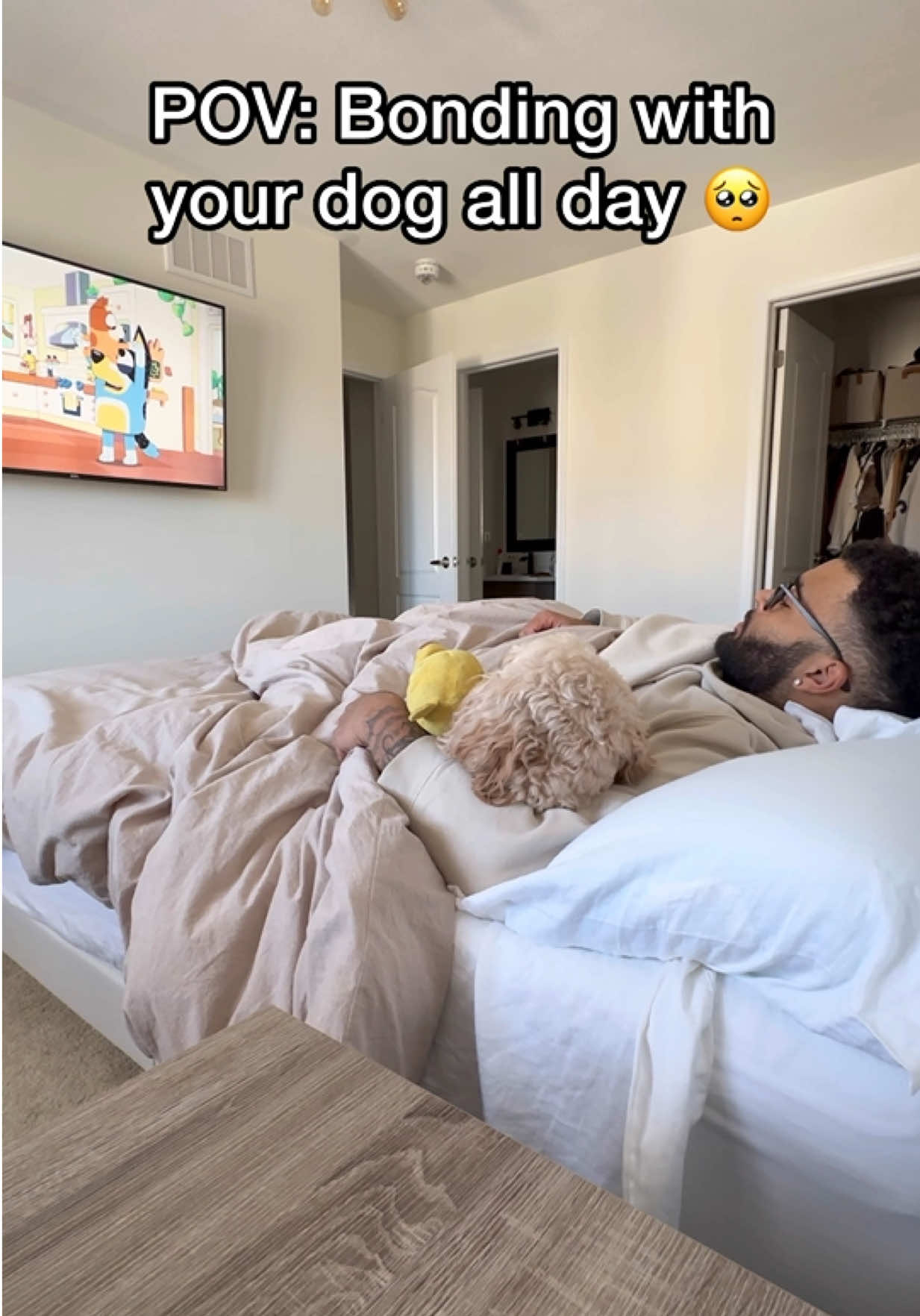 @LunaTheMiniCockapoo