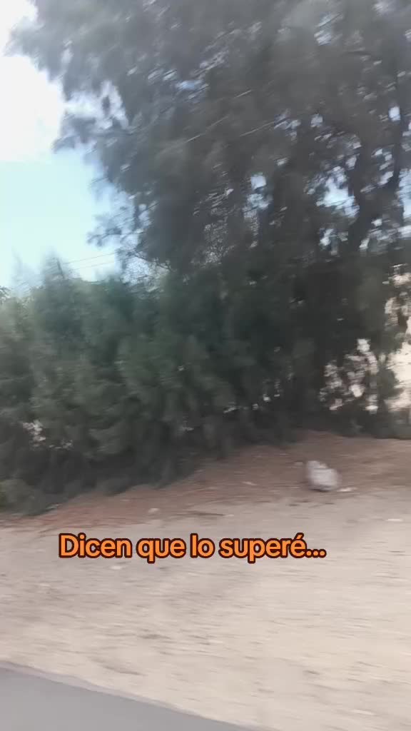 @Argelia Tello