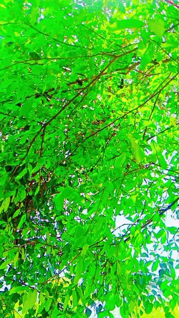 @Nadeem Ahmad 4057