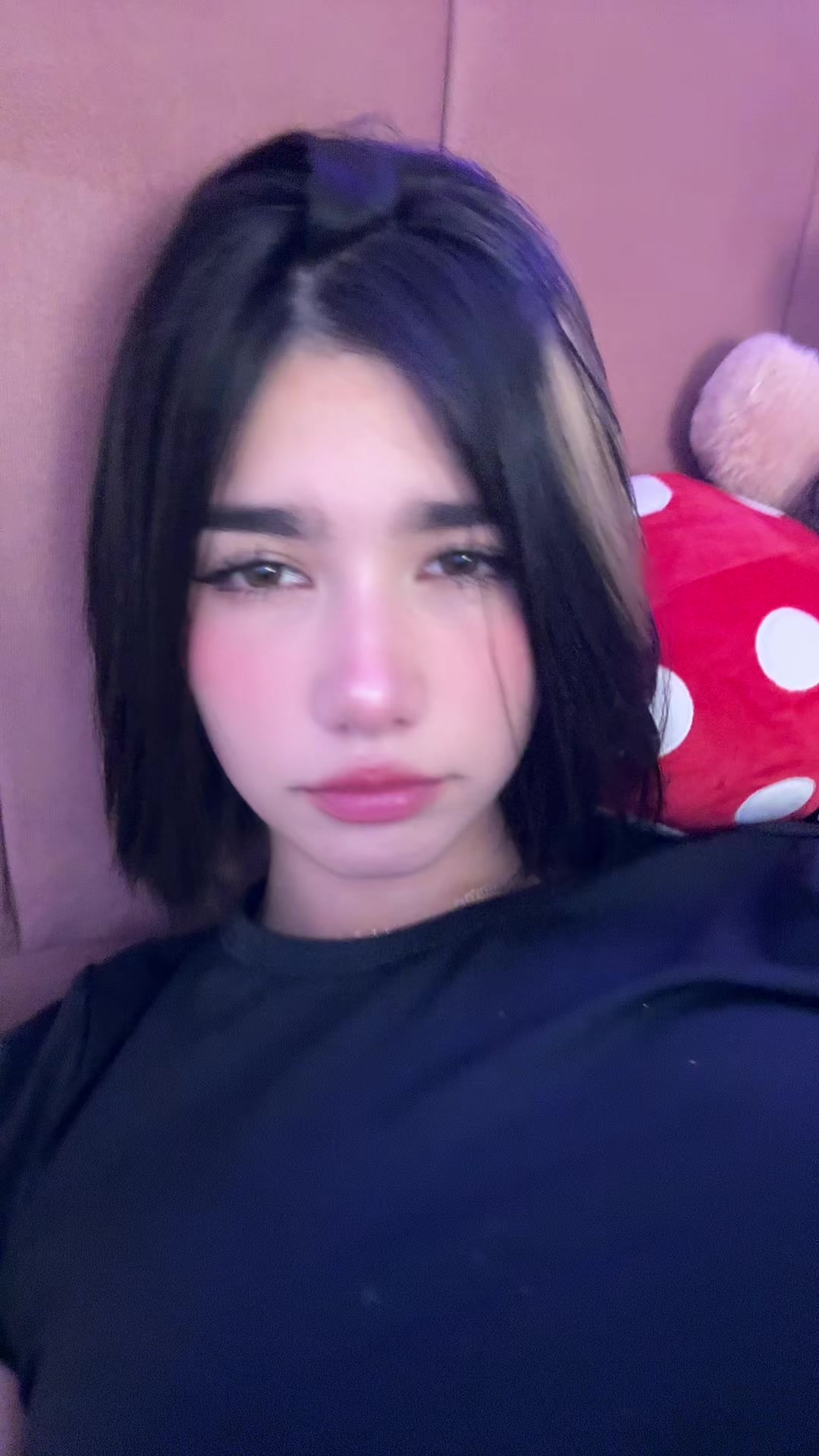 @Zowi