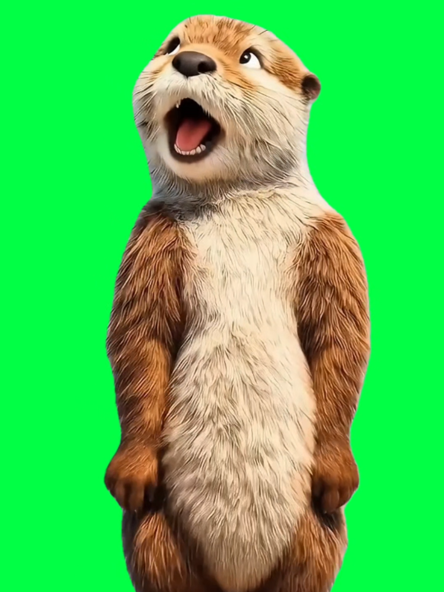 @MemeScreens