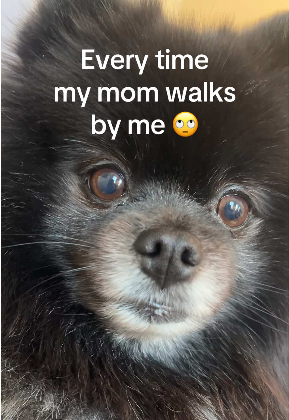 @BiggiePomPom