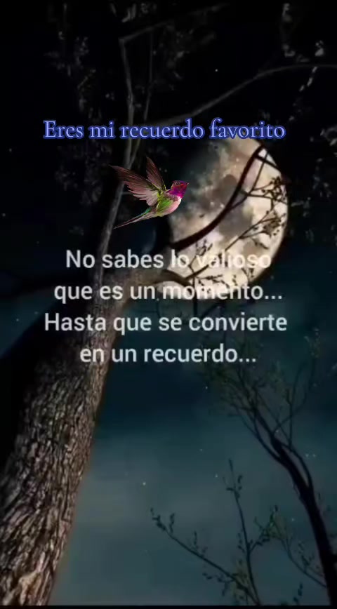 @Isabel tadshi
