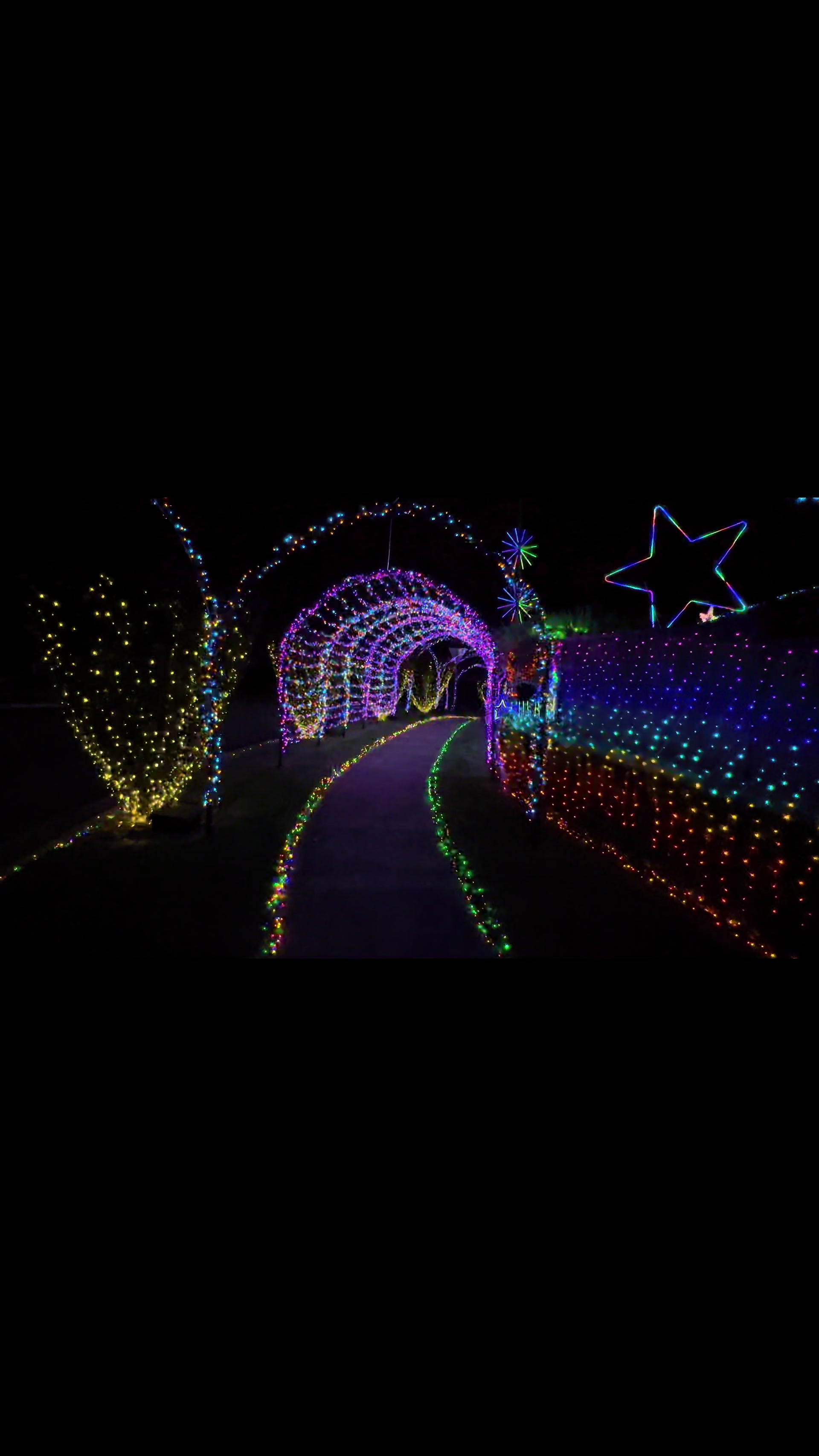 @swansonachristmaslights
