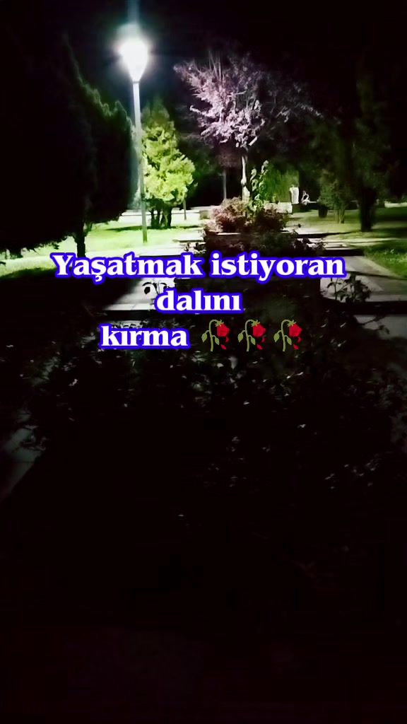 @Musa-Yldrm 0406