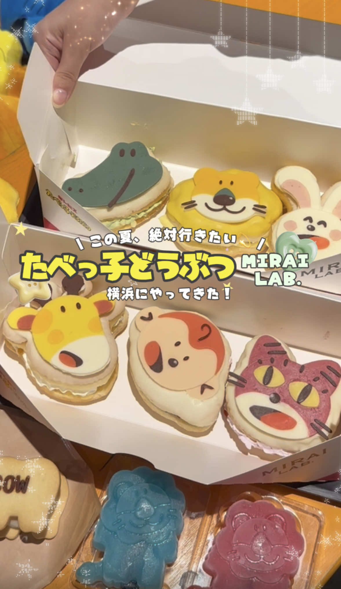 @MAYO /トレンド情報局