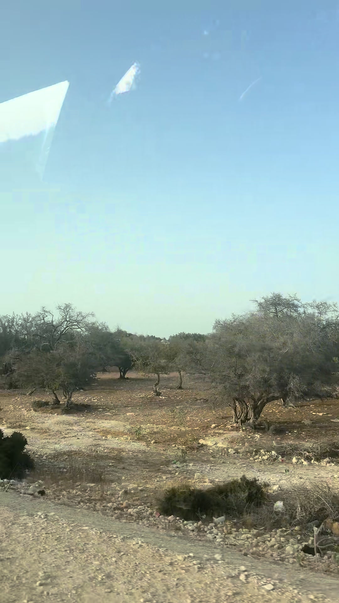 @القنفودي🦅